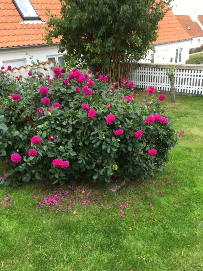 Ebeltoft-Rooms ภายนอก รูปภาพ